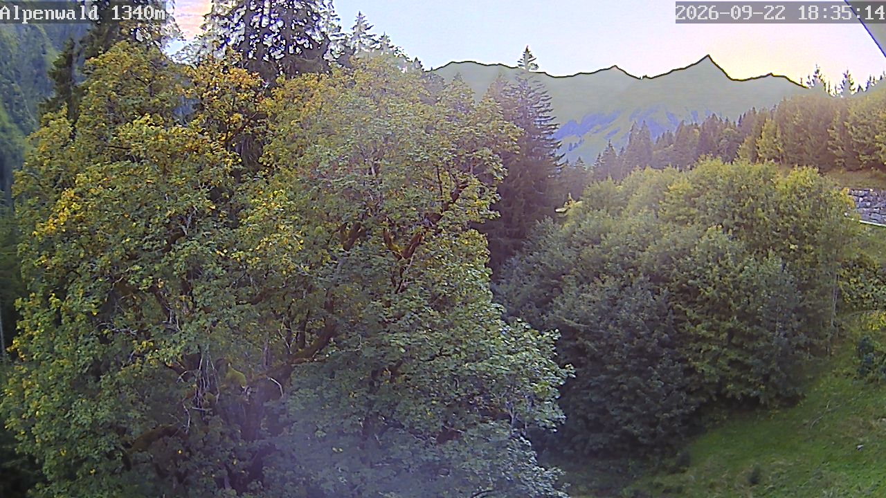 Bild: Gasthof Alpenwald